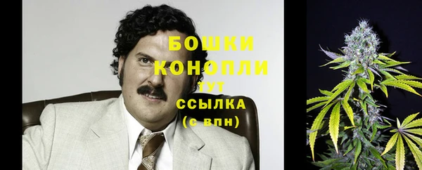шишки Рославль
