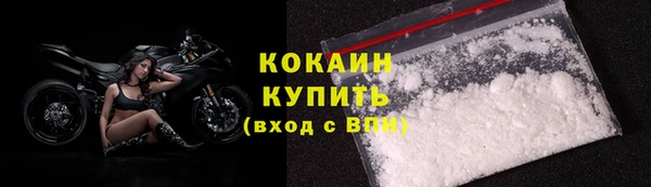 шишки Рославль