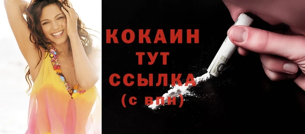 шишки Рославль