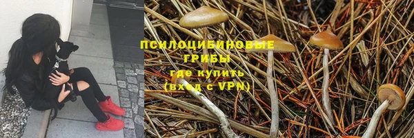 шишки Рославль