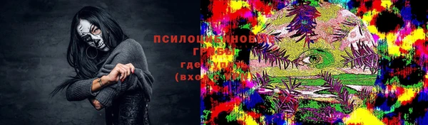 шишки Рославль