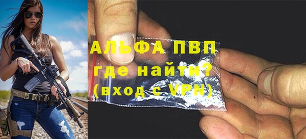 индика Сатка